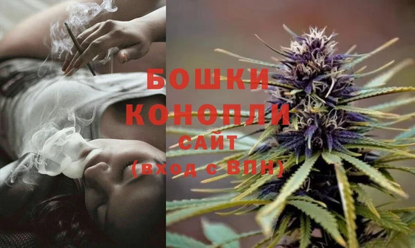 ECSTASY Бронницы